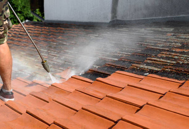 Best Residential Pressure Washing Services  in Butler Beach, FL